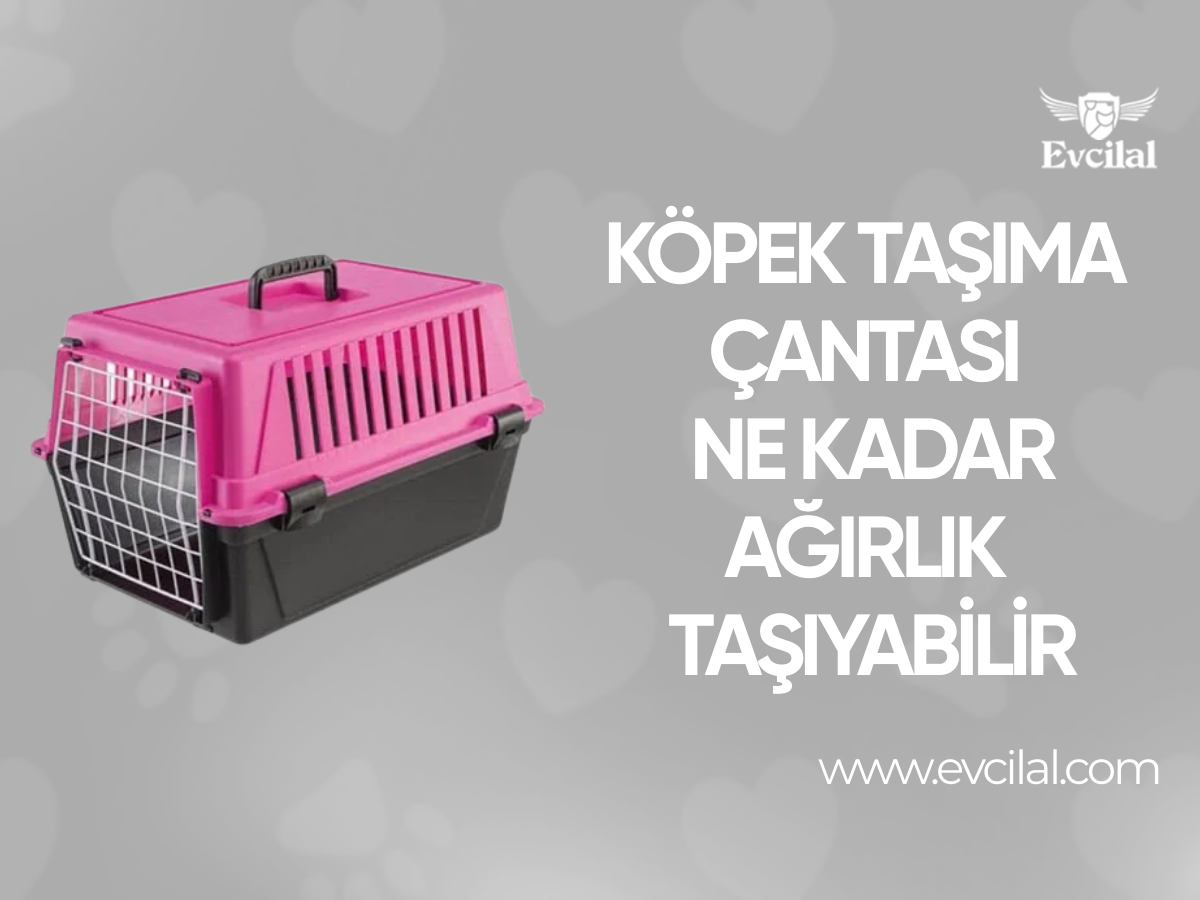 Köpek Taşıma Çantası Ne Kadar Ağırlık Taşıyabilir