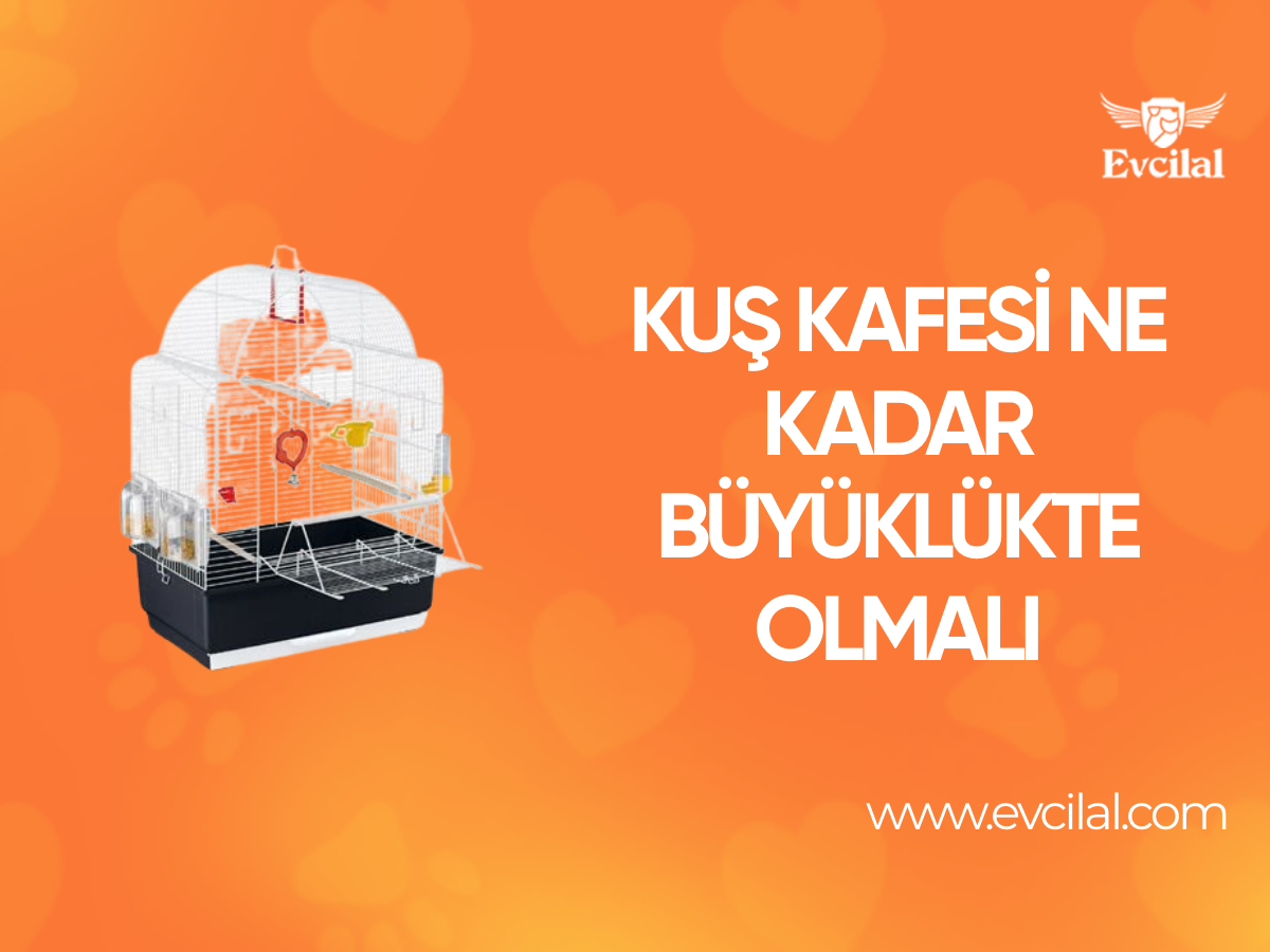 Kuş Kafesi Ne Kadar Büyüklükte Olmalı
