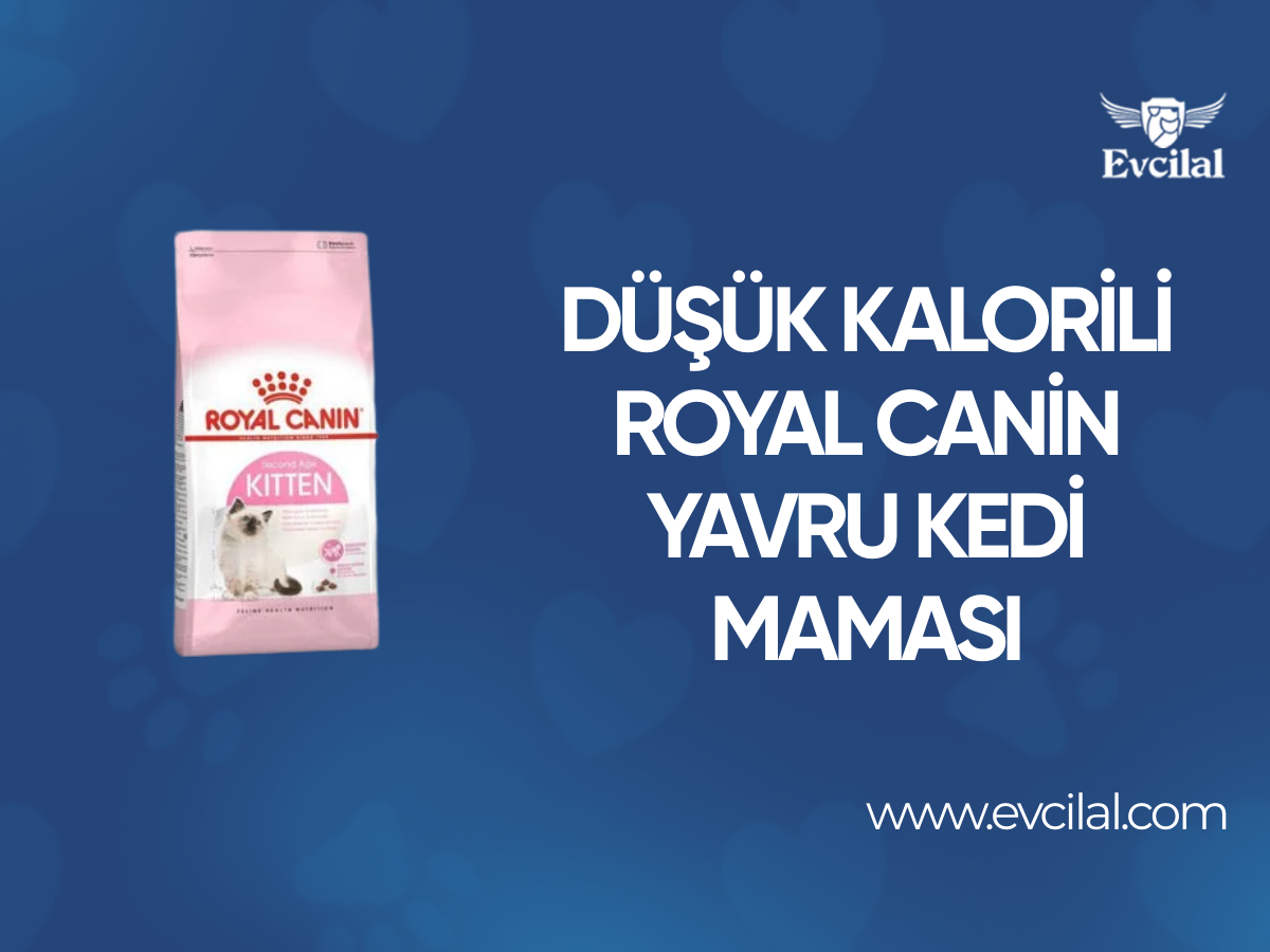 Kalorisi Düşük Olan Royal Canin Yavru Kedi Maması İle Kedinizi Şımartın