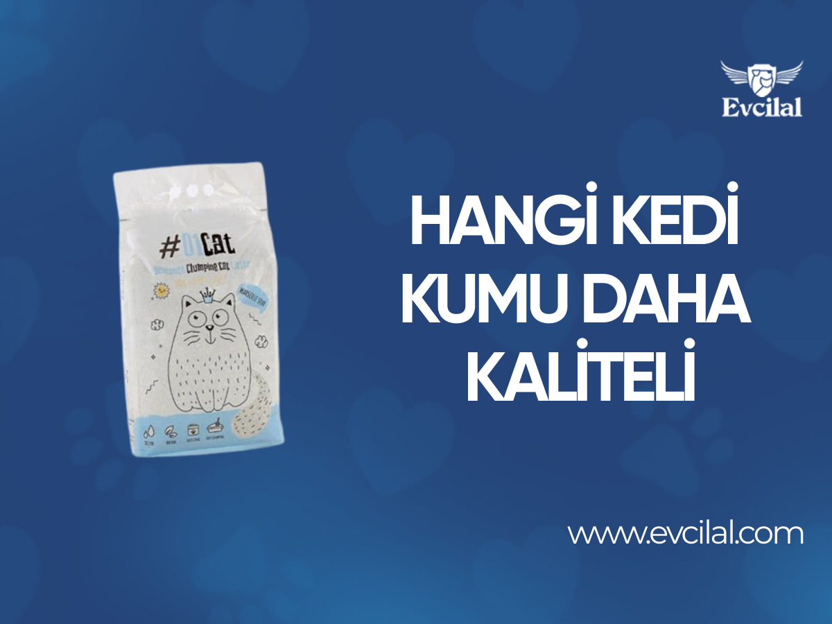 Hangi Kedi Kumu Daha Kaliteli