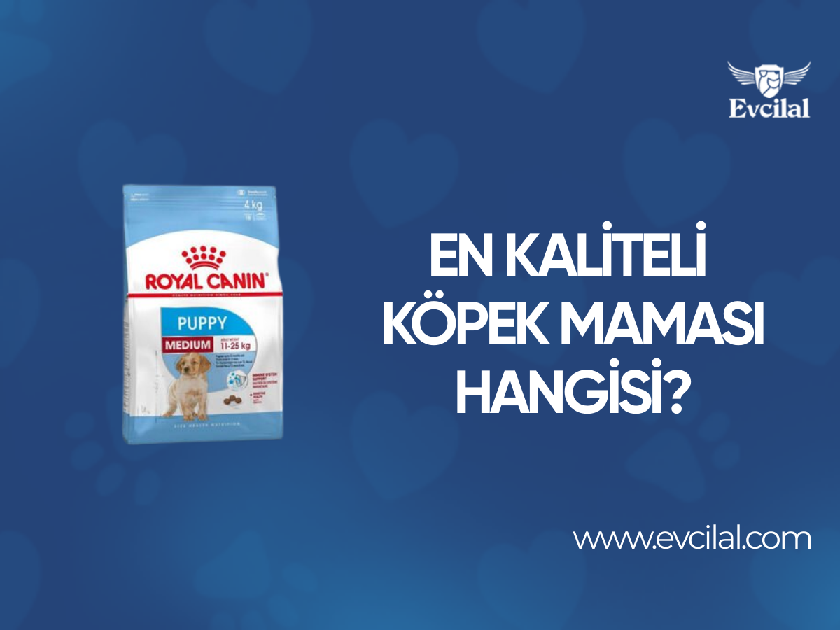 En Kaliteli Köpek Maması Hangisi?