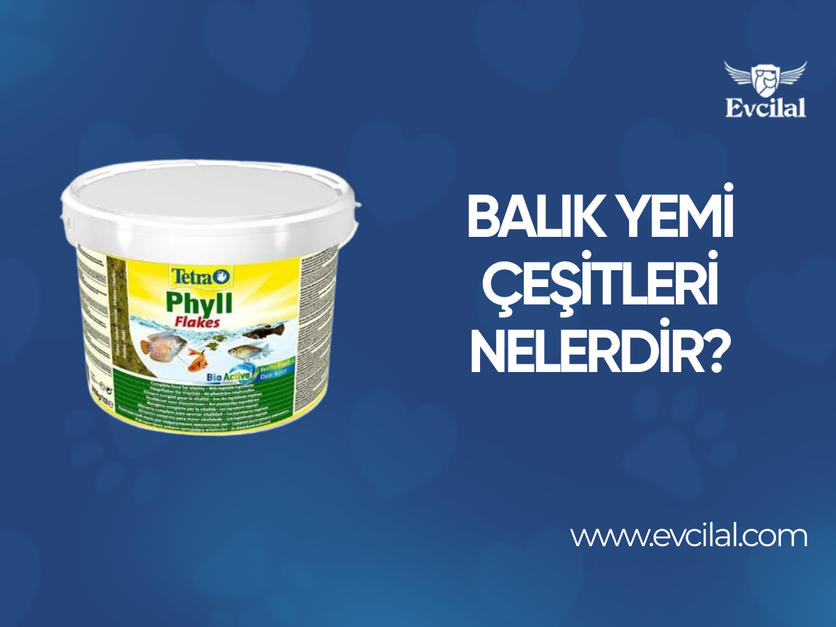 Balık Yemi Çeşitleri Nelerdir?