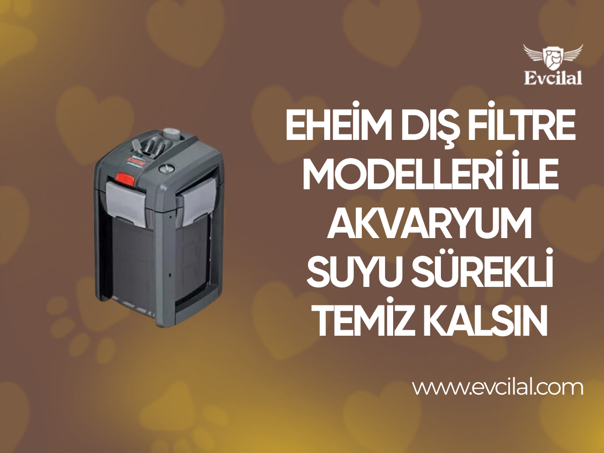 Eheim Dış Filtre Modelleri İle Akvaryum Suyu Sürekli Temiz Kalsın