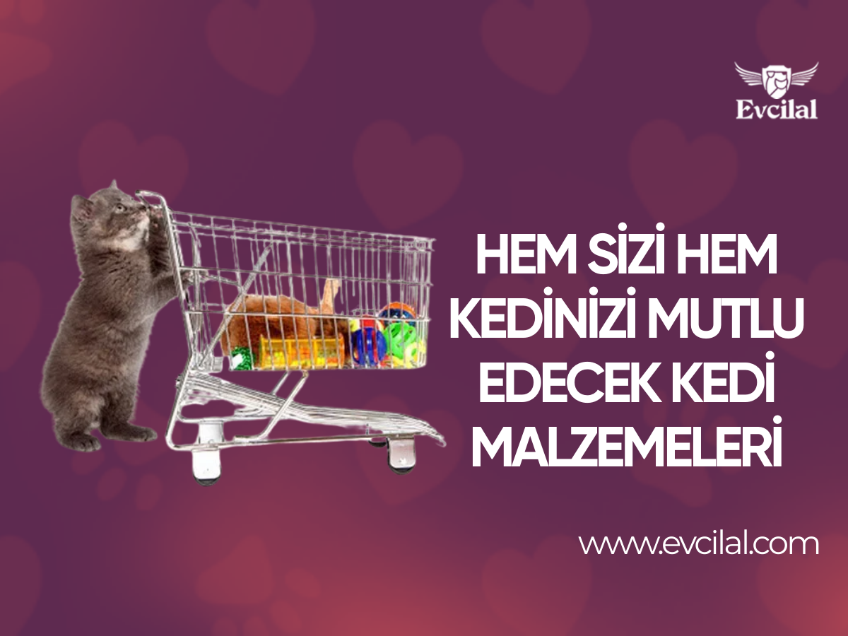 Hem sizi hem kedinizi mutlu edecek kedi malzemeleri