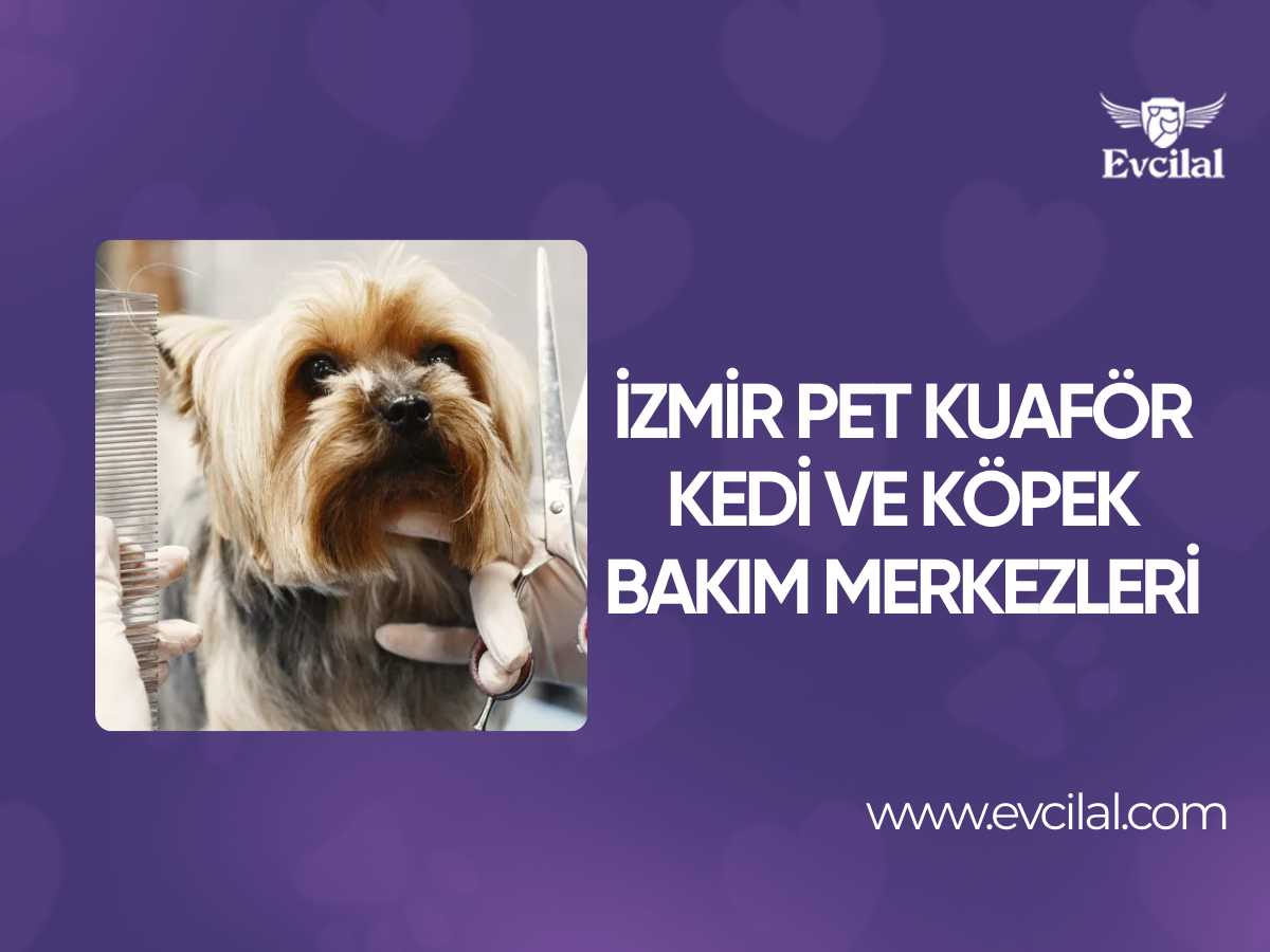 İzmir Pet Kuaför: En İyi Kedi ve Köpek Bakım Merkezleri