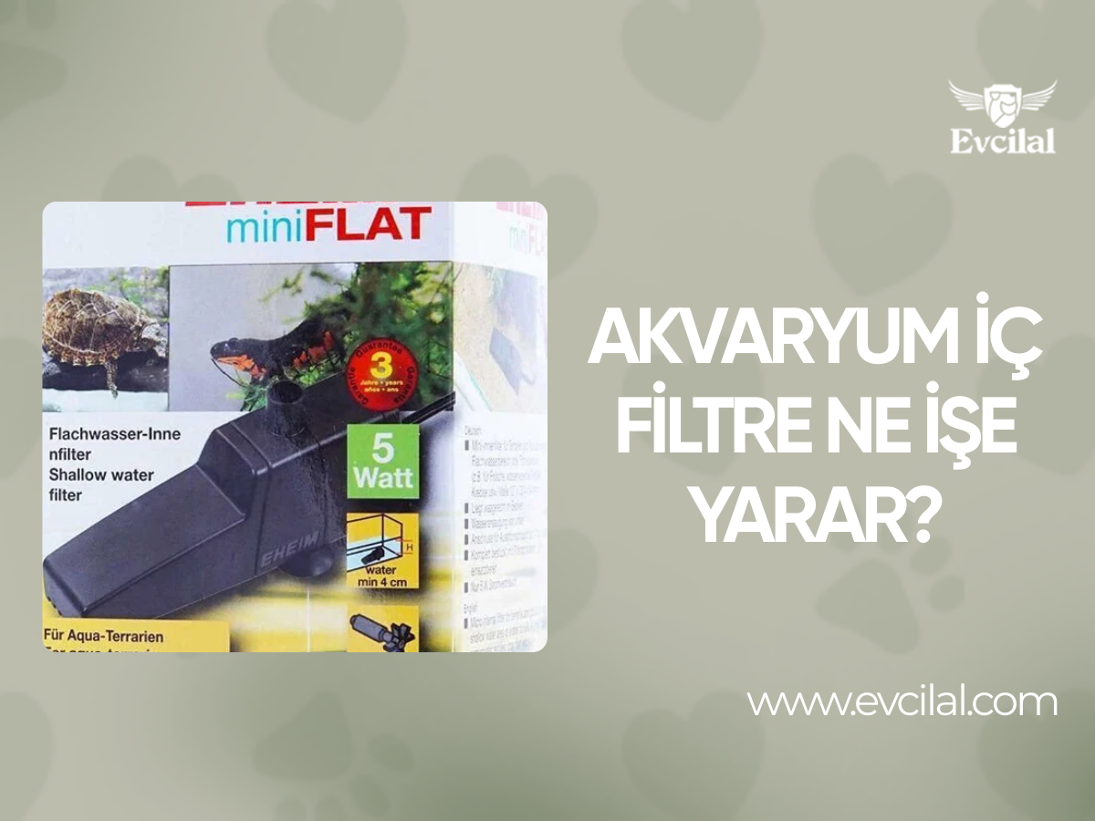 Akvaryum İç Filtre Ne İşe Yarar? Detaylı Seçim ve Bakım Rehberi