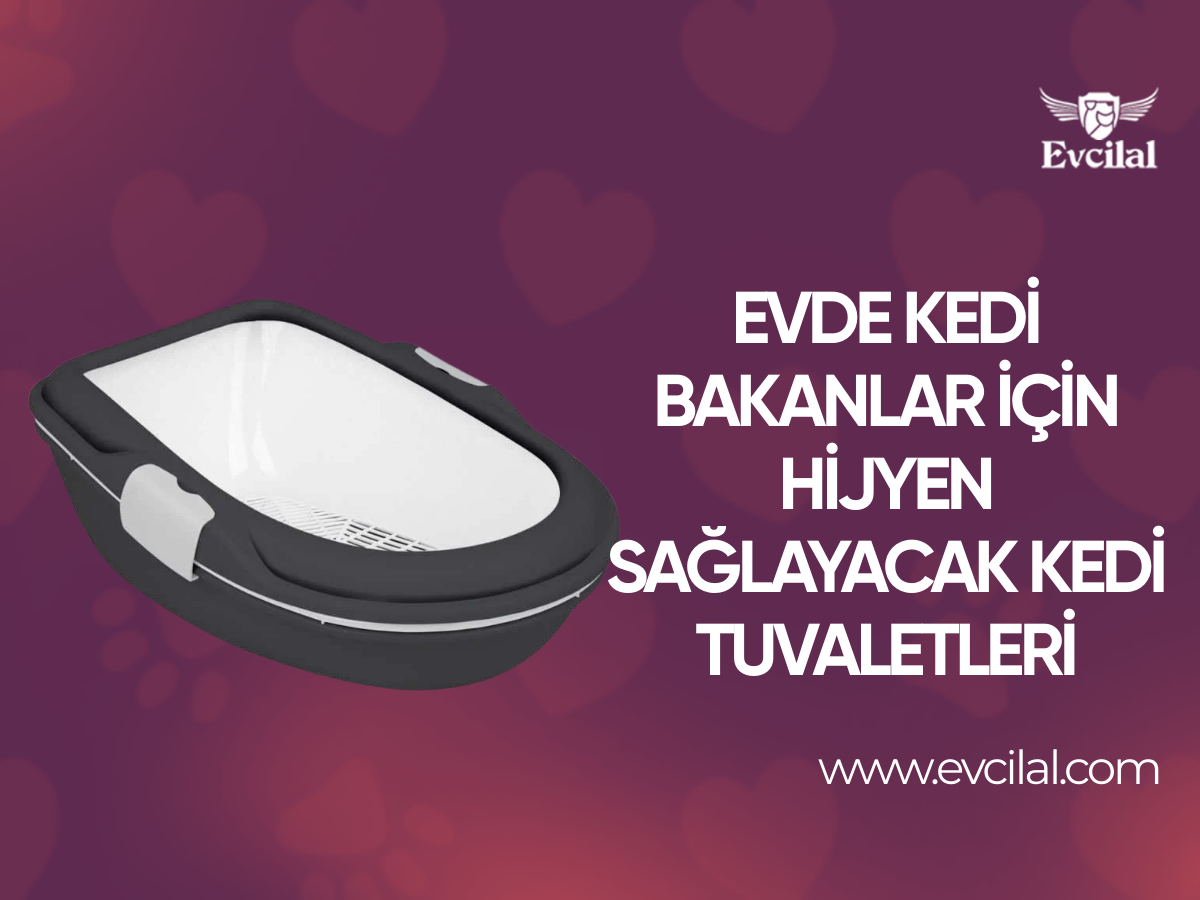 Evde Kedi Bakanlar için Hijyen Sağlayacak Kedi Tuvaletleri