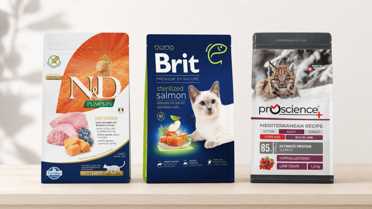 Kedi Maması Seçerken Yapılan Yaygın Hatalar