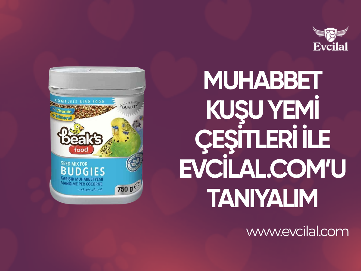 Muhabbet Kuşu Yemi Çeşitleri İle evcilal.live’u Tanıyalım