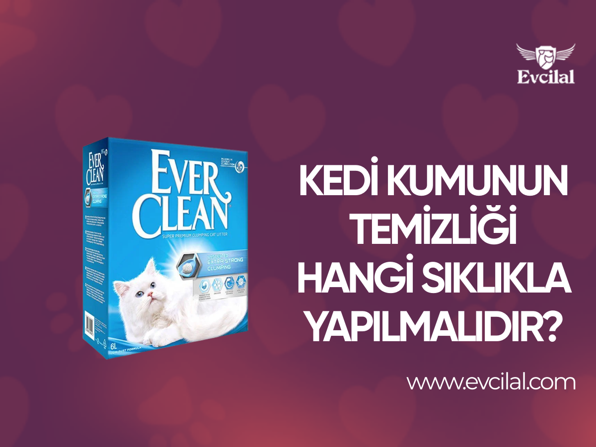 Kedi Kumunun Temizliği Hangi Sıklıkla Yapılmalıdır?