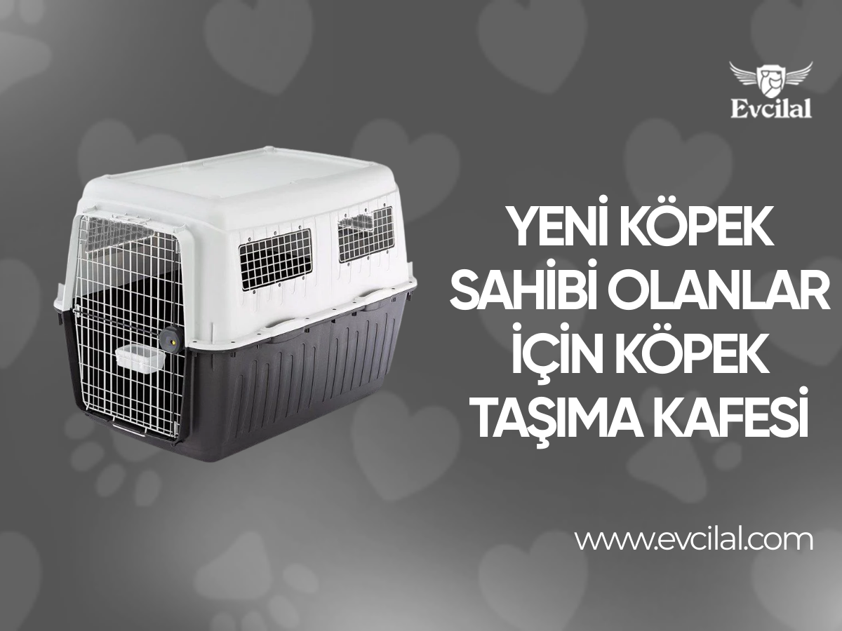 Yeni Köpek Sahibi Olanlar İçin Köpek Taşıma Kafesi