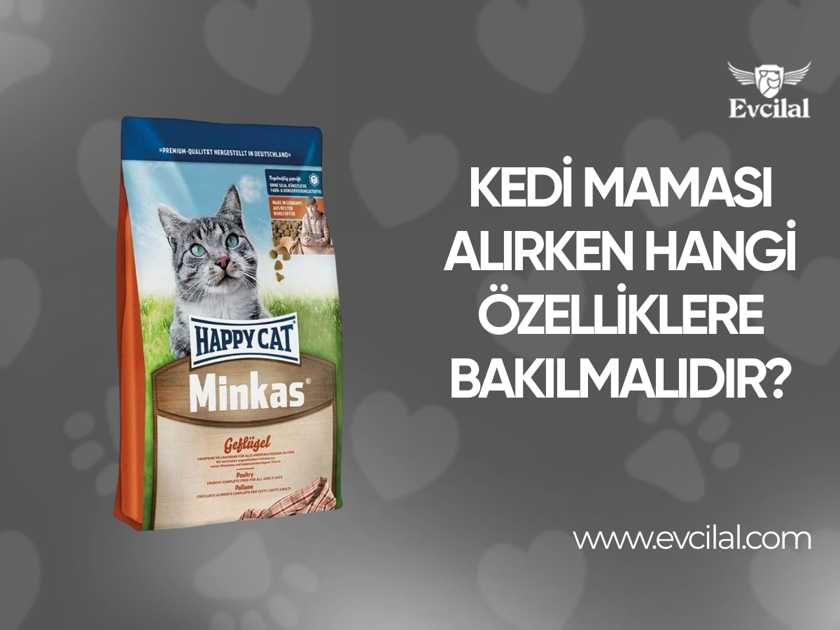 Kedi maması alırken hangi özelliklere bakılmalıdır?