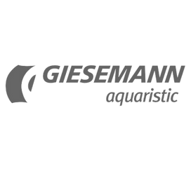 Giesemann