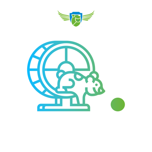 Hamster Çarkı ve Topu
