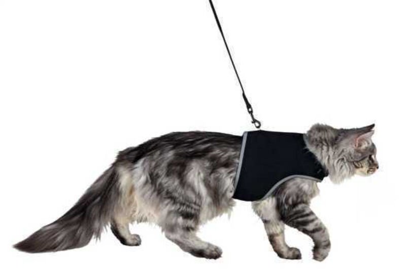 Trixie Kedi Göğüs Tasma Seti, XL, 36-54cm, 120 cm