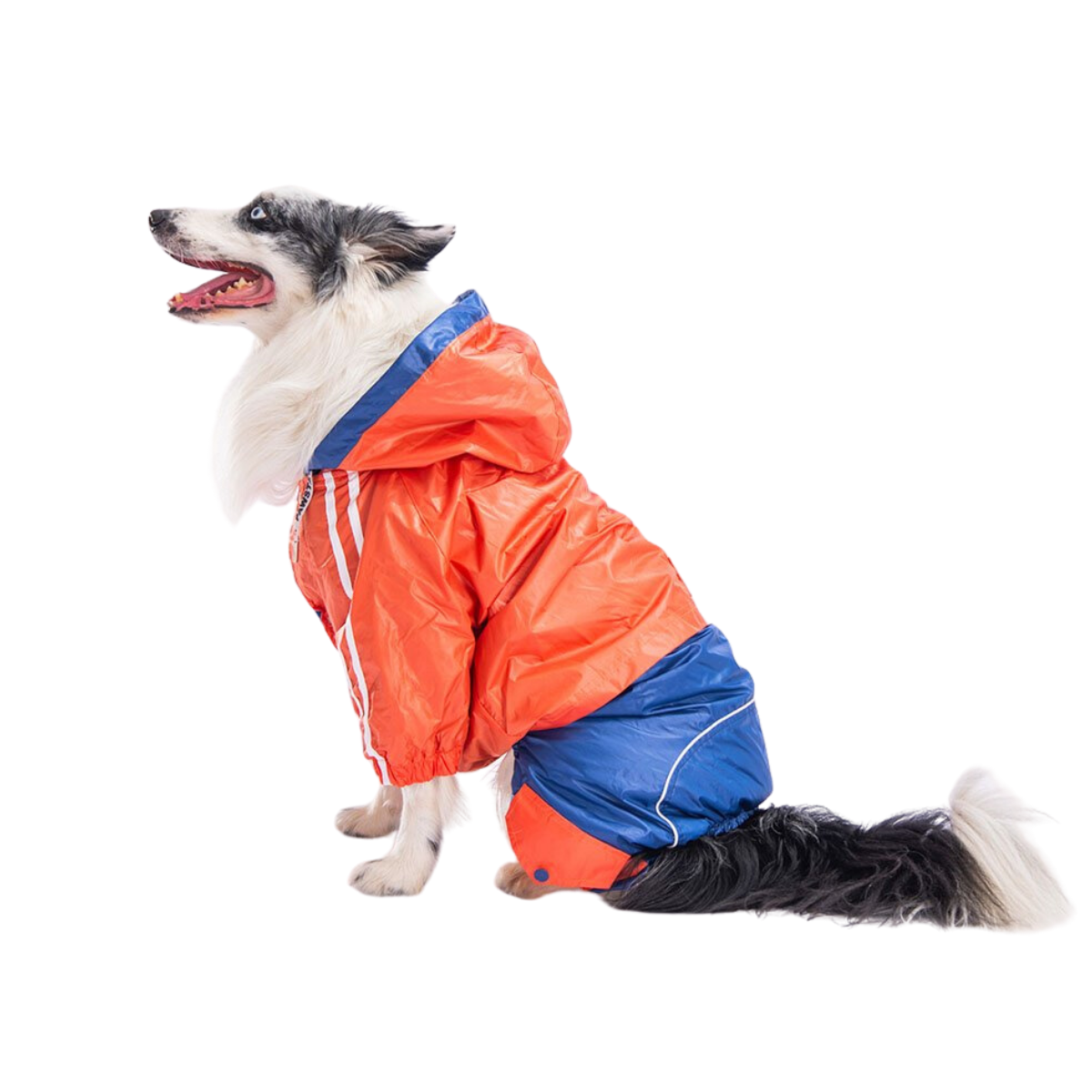 PawStar Bej Turuncu Lacivert Orta Irk Tulum Yağmurluk 6XL