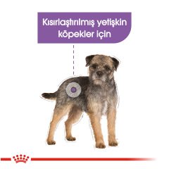 Royal Canin Sterilised Dog Loaf Pouch 85 gr